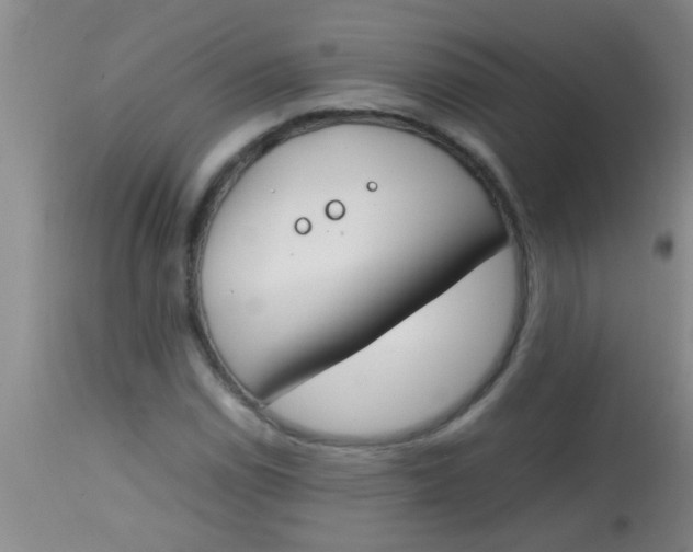 X0000113871114200910151253