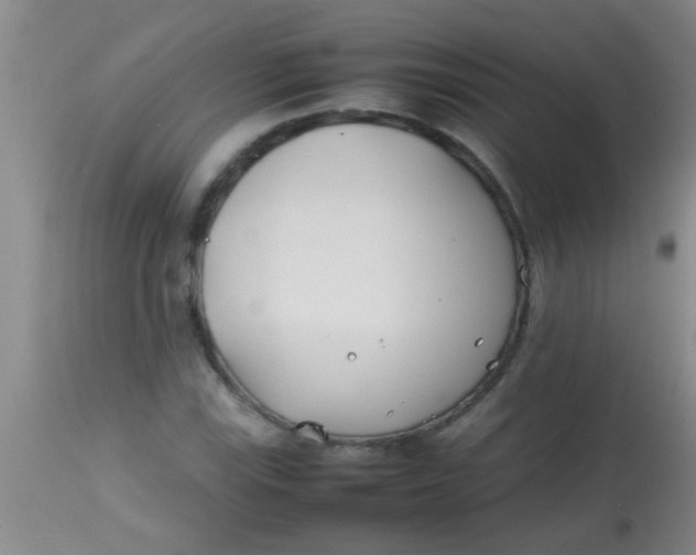 X0000113871115200910151253