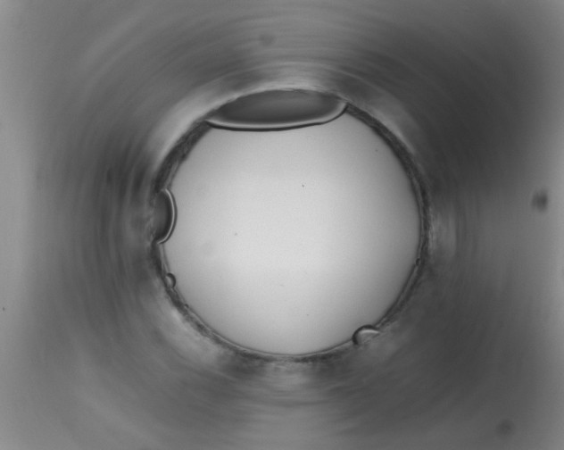 X0000113871116200910151253