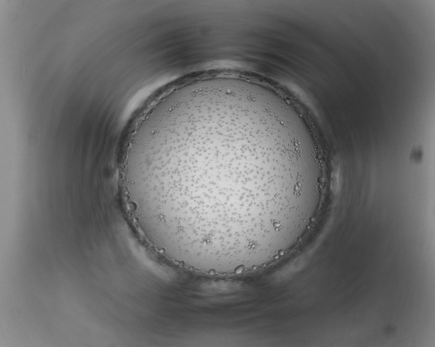 X0000113871117200910151254