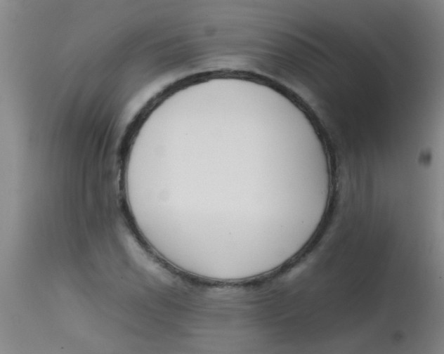 X0000113871118200910151254