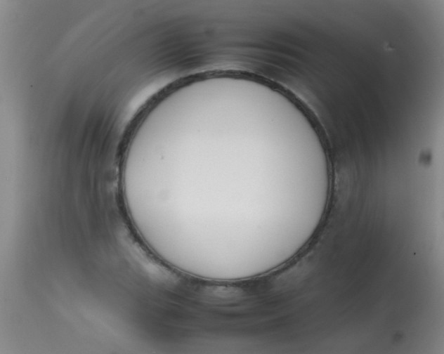 X0000113871119200910151254