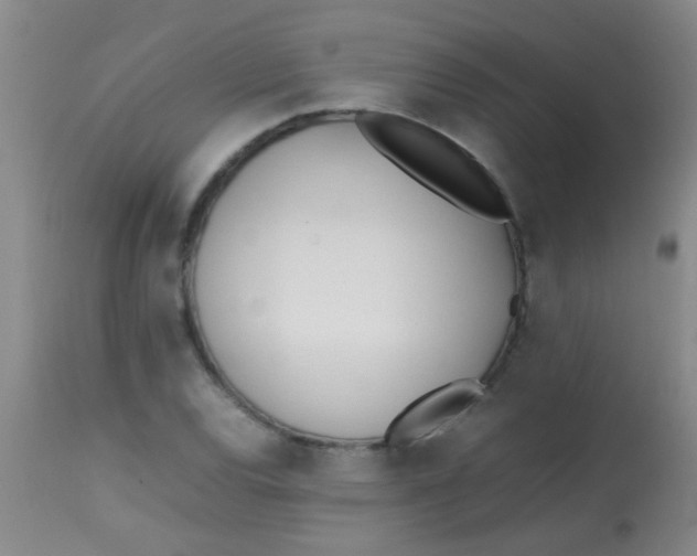 X0000113871120200910151254