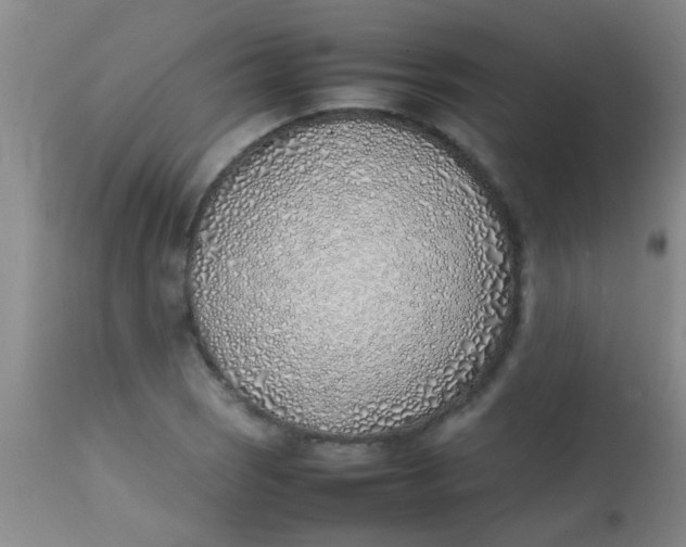 X0000113871121200910151254