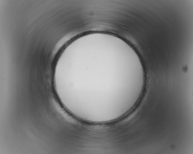 X0000113871122200910151254