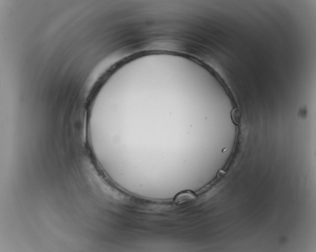 X0000113871123200910151254