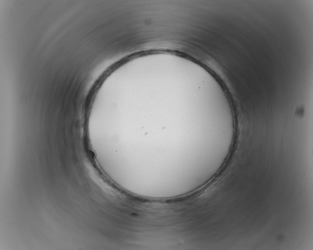 X0000113871124200910151254