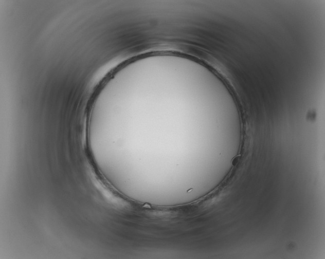 X0000113871127200910151254