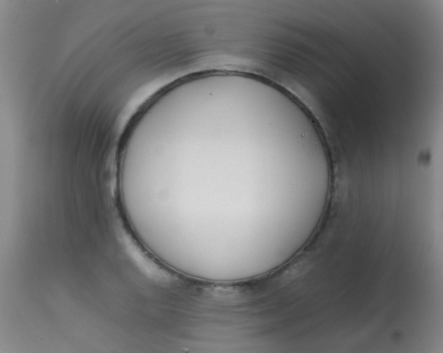 X0000113871128200910151254