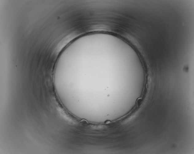 X0000113871129200910151254