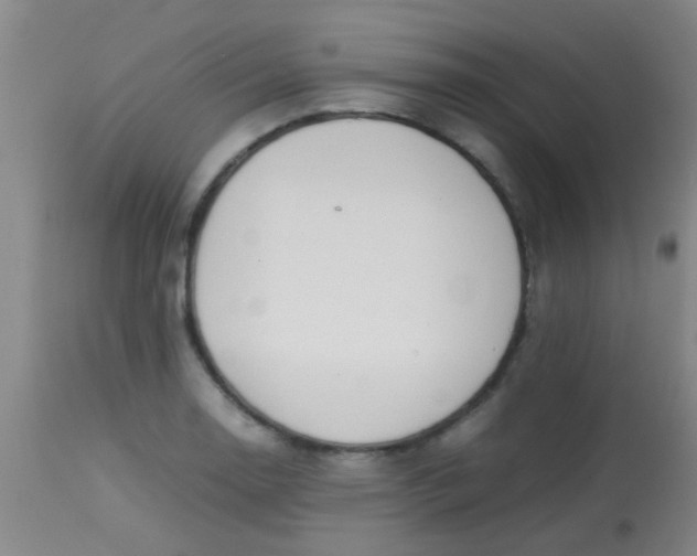 X0000113871130200910151254