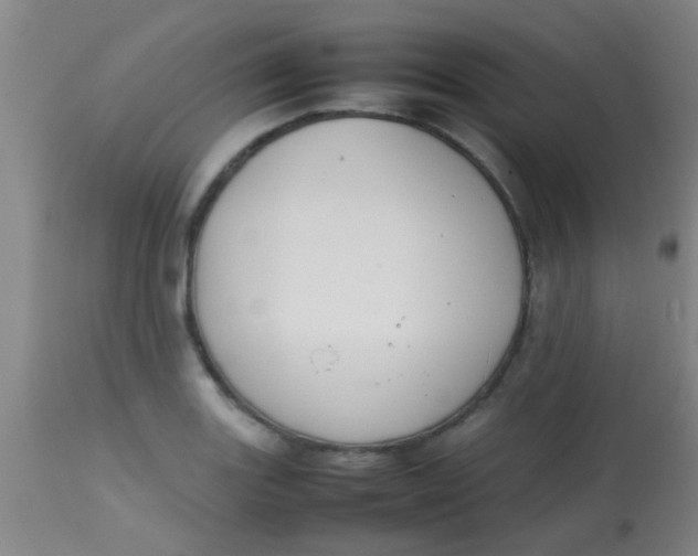 X0000113871131200910151254