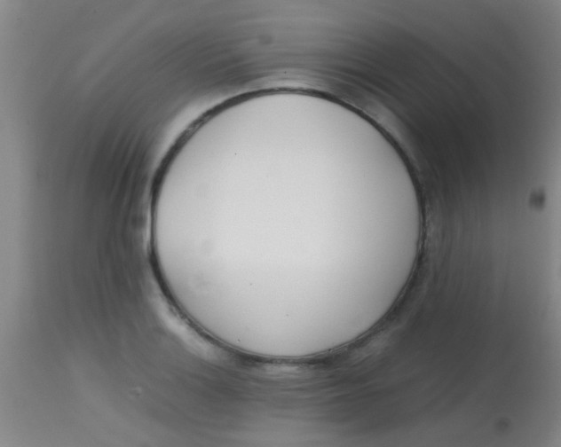 X0000113871132200910151254