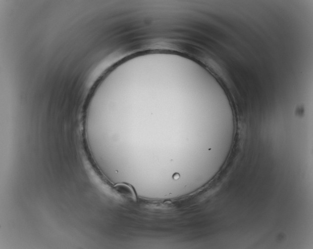 X0000113871133200910151254