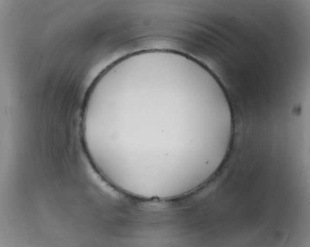 X0000113871134200910151254