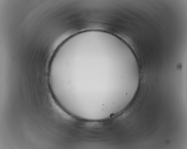 X0000113871135200910151254