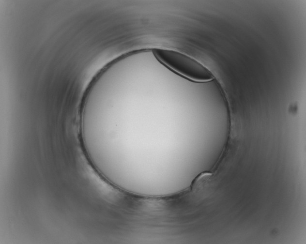 X0000113871136200910151254