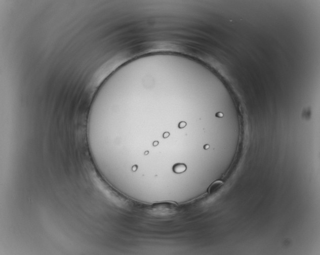 X0000113871137200910151254