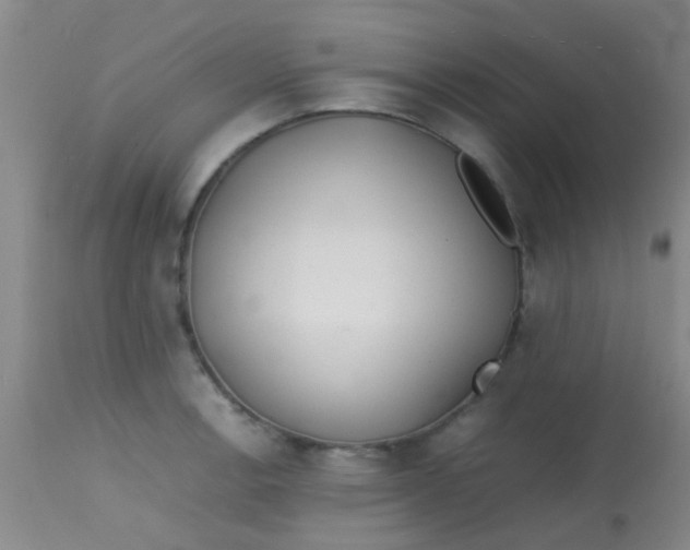 X0000113871138200910151254