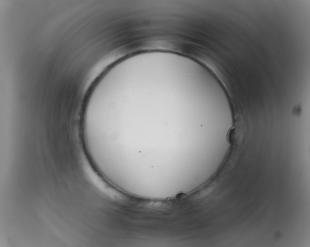 X0000113871139200910151254