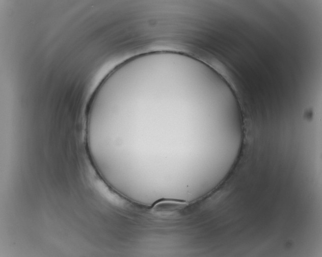 X0000113871140200910151254