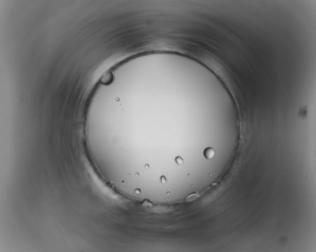 X0000113871141200910151254