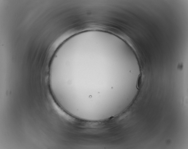 X0000113871143200910151254