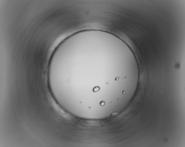 X0000113871144200910151254