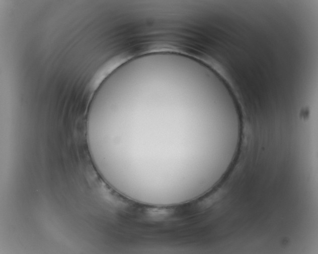 X0000113871145200910151254