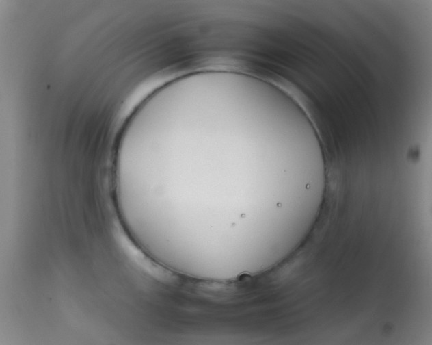 X0000113871147200910151254