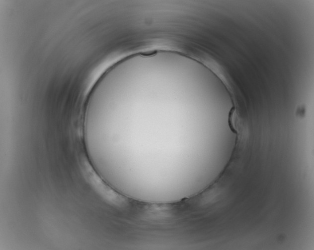 X0000113871148200910151254