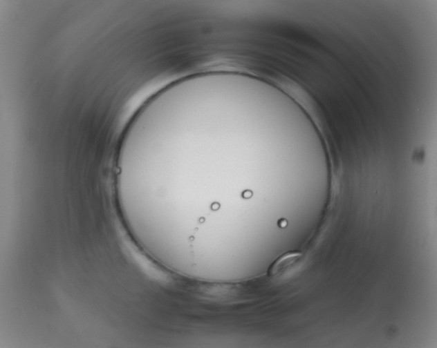 X0000113871149200910151254