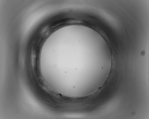 X0000113871151200910151254