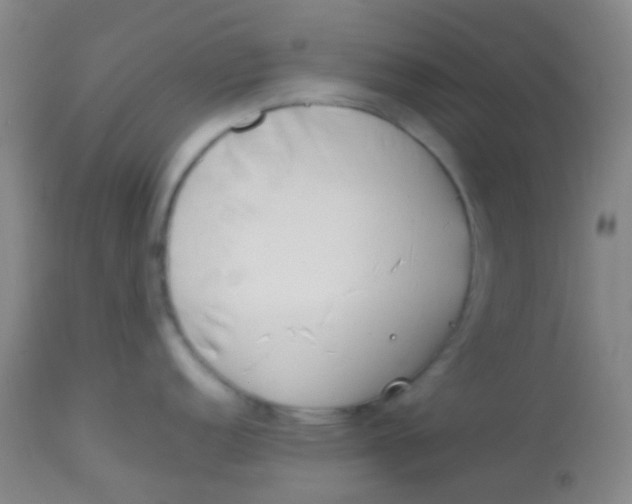 X0000113871152200910151254