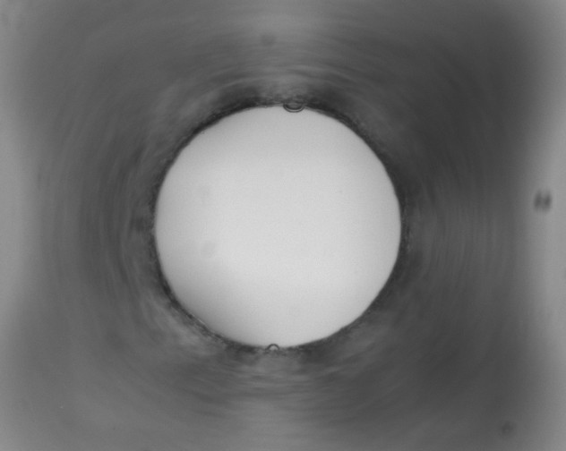 X0000113871153200910151253