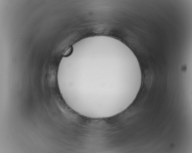 X0000113871154200910151253