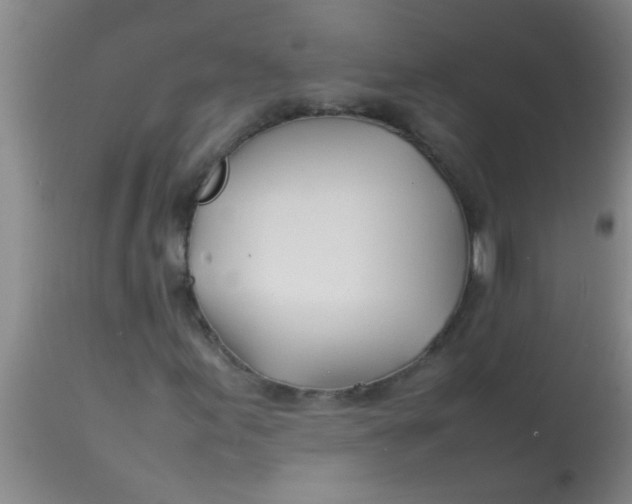 X0000113871155200910151253