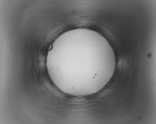 X0000113871156200910151253