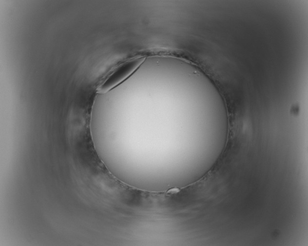 X0000113871157200910151253