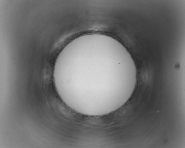 X0000113871158200910151253