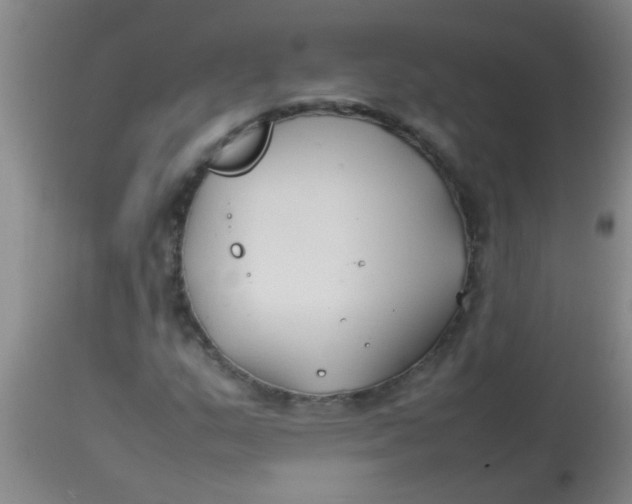 X0000113871159200910151253