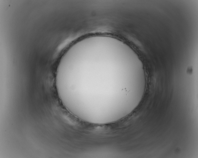 X0000113871160200910151253