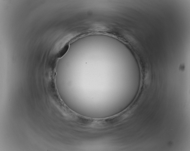 X0000113871161200910151253