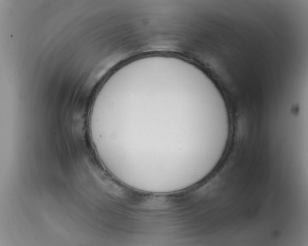 X0000113871162200910151253