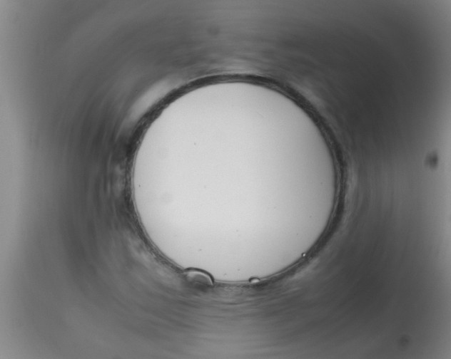 X0000113871163200910151253