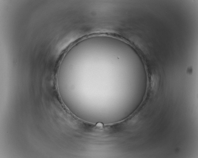 X0000113871165200910151253