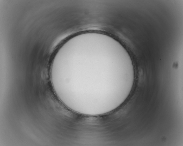 X0000113871166200910151253