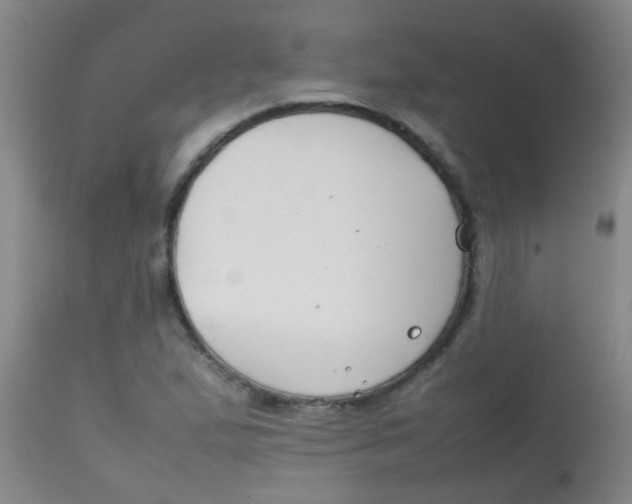 X0000113871167200910151253