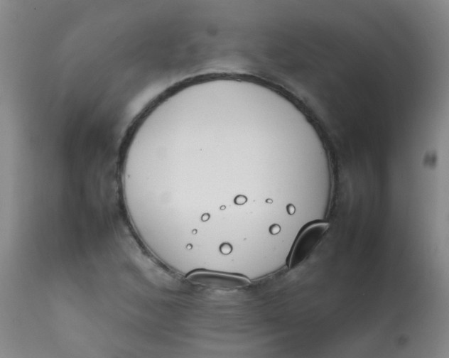 X0000113871168200910151253