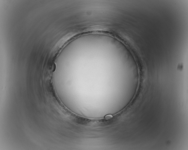 X0000113871169200910151253